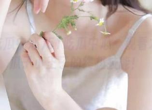 51吃瓜中心：观看才是吃瓜子小王子的终极技能！
