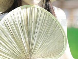 吃瓜不打烊，观看心跳加速的剧透时刻