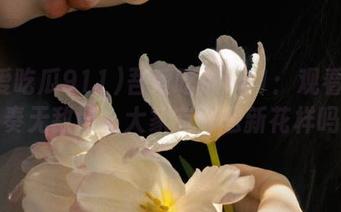 吾爱吃瓜911：观看瓜的节奏无敌好，大家有什么新花样吗？