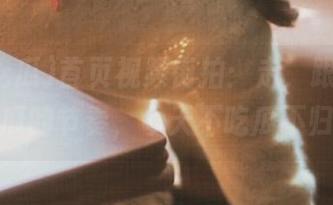 首页视频街拍：走，跟着国产吃瓜的节奏，今天不吃瓜不归！